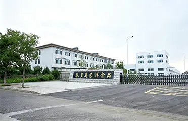 ด้วยการลงทุน 250 ล้านหยวนและโรงงานขนาด 40,000 ตารางเมตร Dongyang Foods ได้สร้างรากฐานที่แข็งแกร่งสำหรับการผลิตบะหมี่กึ่งสำเร็จรูปคุณภาพสูง